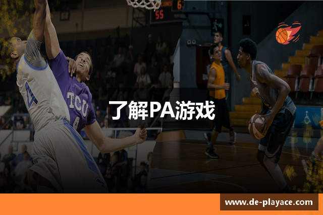 了解PA游戏